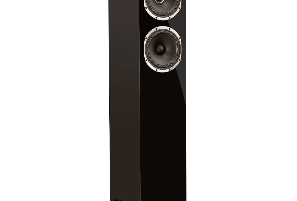 Fyne Audio F501S