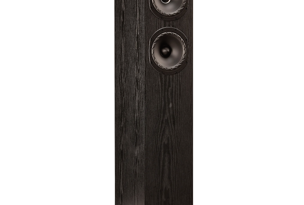 Fyne Audio F501E