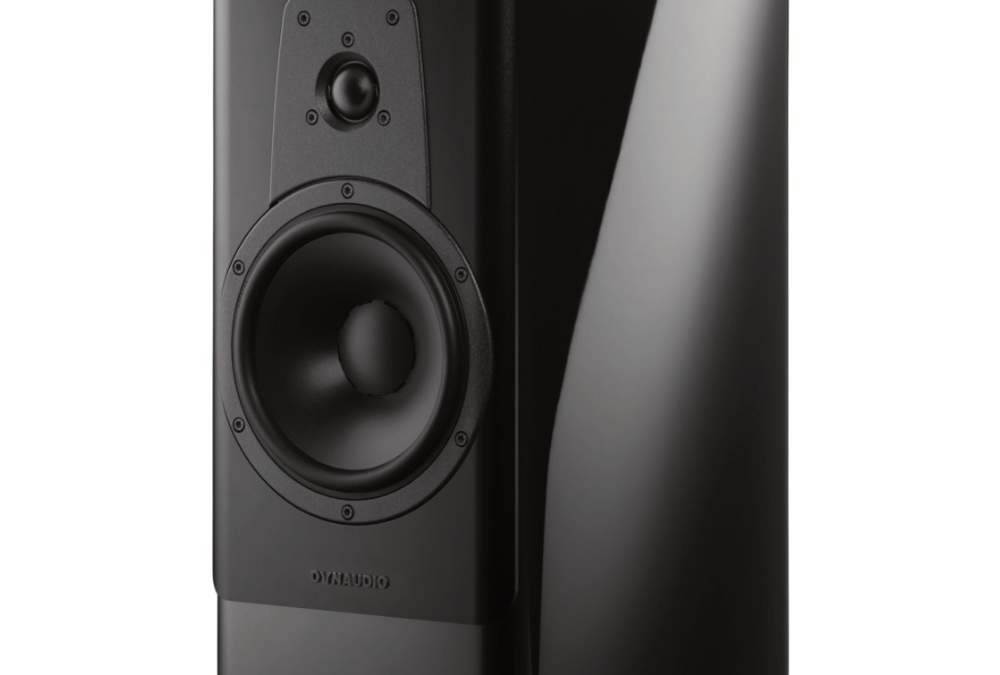 Dynaudio Contour 20 + Stands and Isoacoustic Gaia III