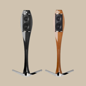 Lignea har två eleganta golvhögtalare - en svart och en brun - som är redo att ge liv åt musiken på en lugn beige bakgrund.
