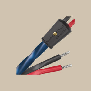 Wireworld Oasis 10