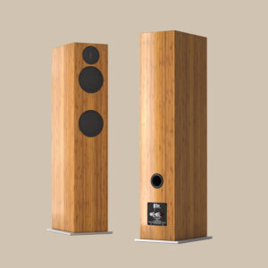 Two wooden tower speakers with black drivers.